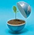 Do you need a proven business system to franchise? Do you need a proven business system to franchise?